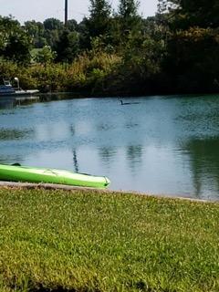 16857 Forrister Road Hudson, MI 49247 - Photo 24 of 34 IMG_20210513_092053