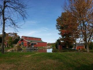 16857 Forrister Road Hudson, MI 49247 - Photo 6 of 34 IMG_20210513_092058