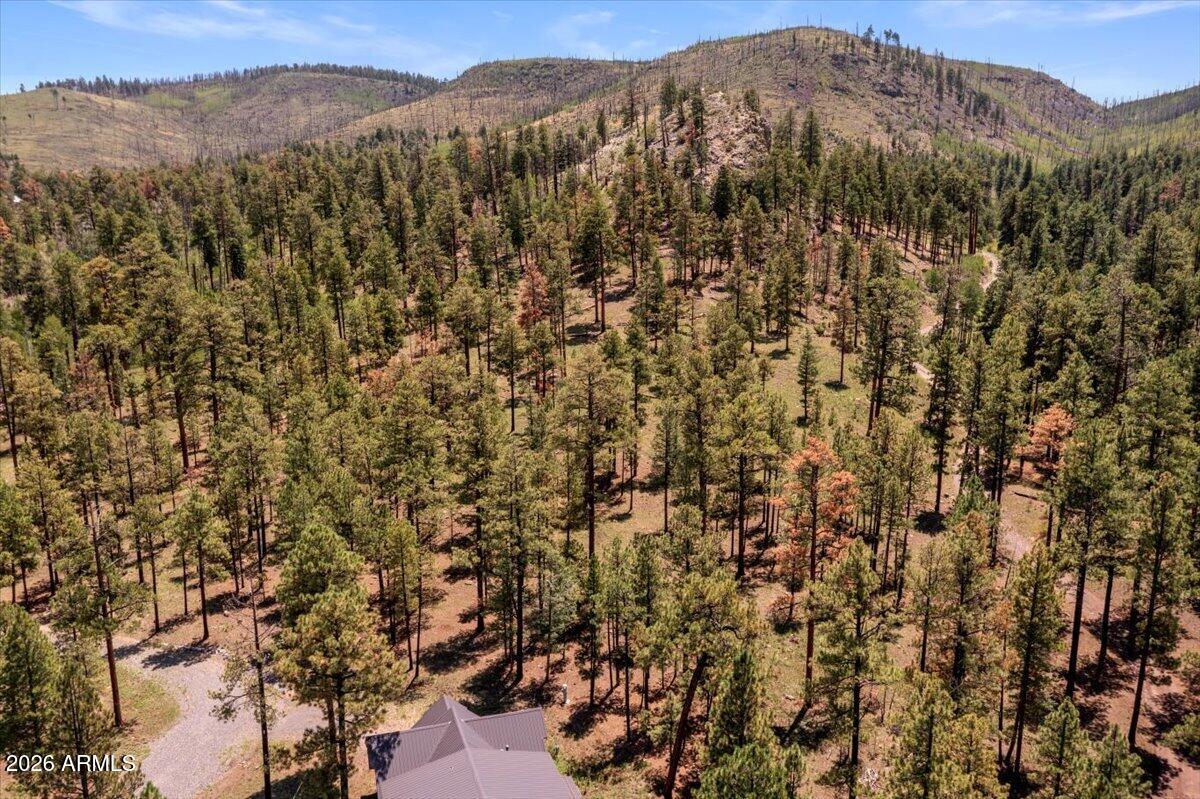 14 County Rd N1062, Unit 15 Greer, AZ 85927 - Photo 5 of 15 05-DJI_0526