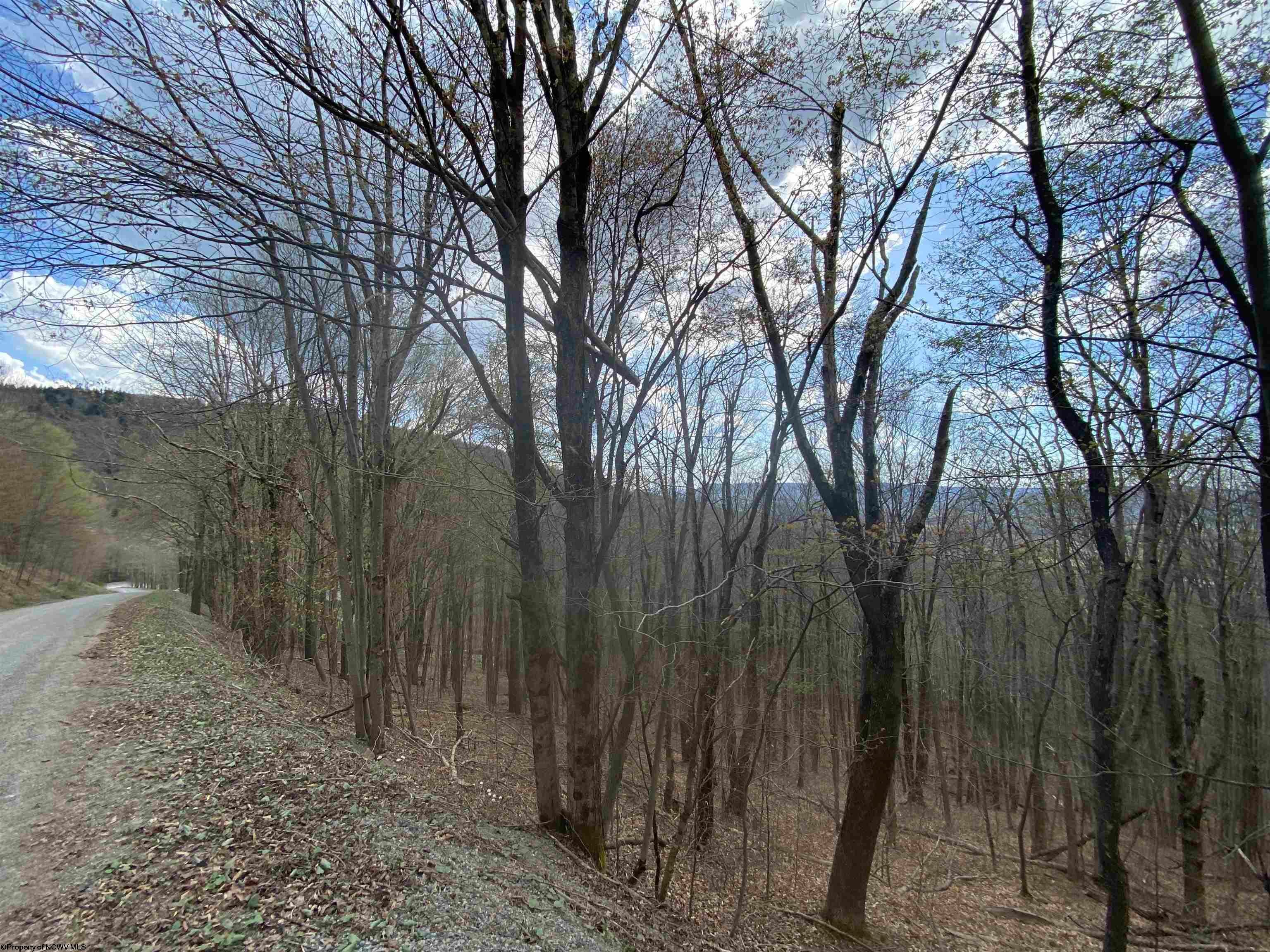 31 Mountainside Road Davis, WV 26260 - Photo 15 of 16 Gallery Image 15