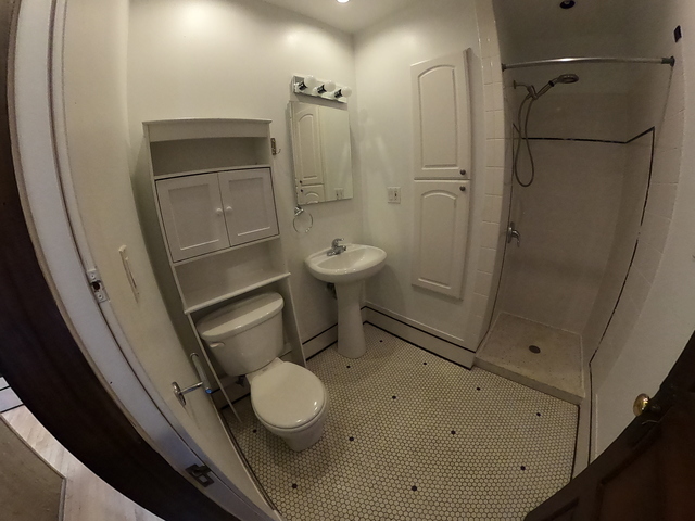 3018 North Racine Avenue, Unit 3F Chicago, IL 60657 - Photo 4 of 12