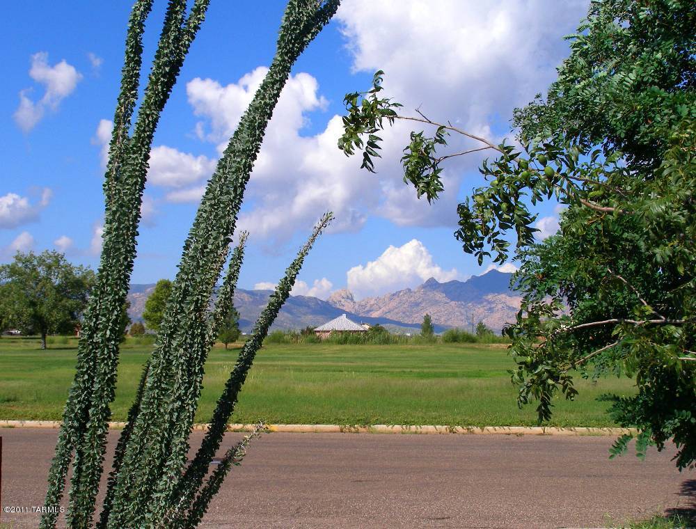 290 Dale Road Pearce, AZ 85625 - Photo 4 of 44