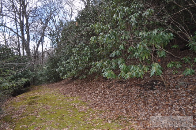 833 Pine Hill Road Boone, NC 28607 - Photo 26 of 32 Gallery Image 26
