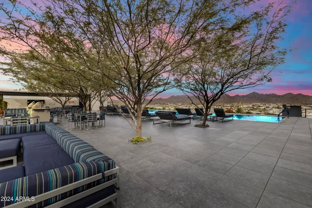 a view of a yard with plants and trees