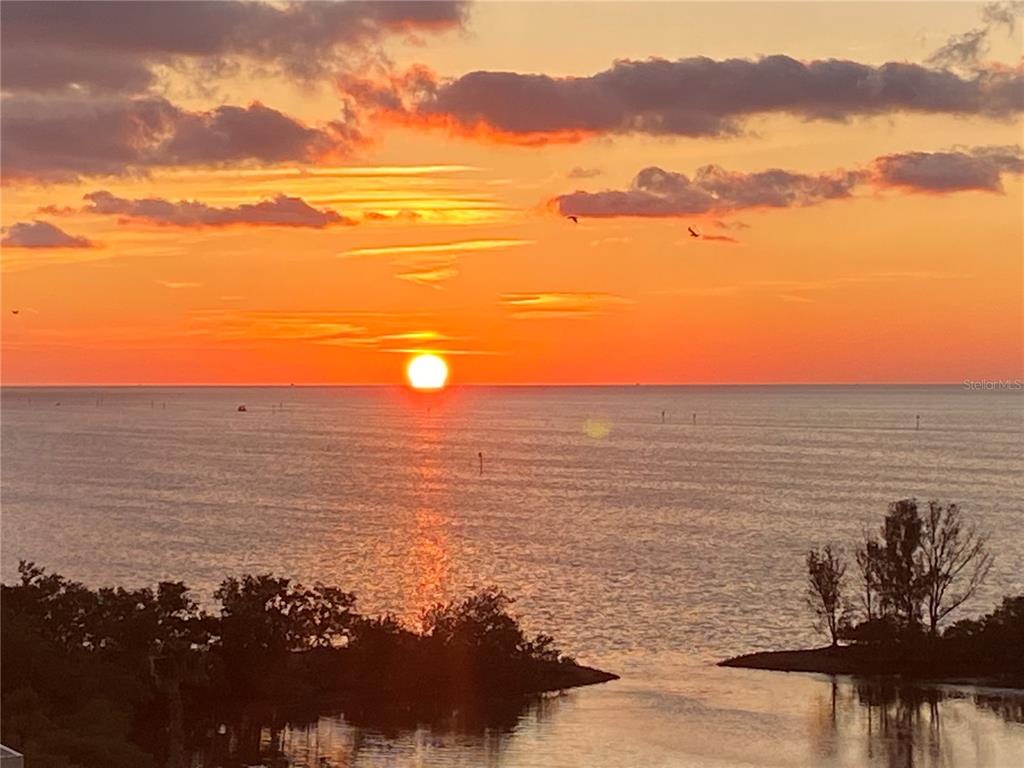6009 Sea Ranch Drive, Unit 704 Hudson, FL 34667 - Photo 36 of 57 a view of ocean with a city