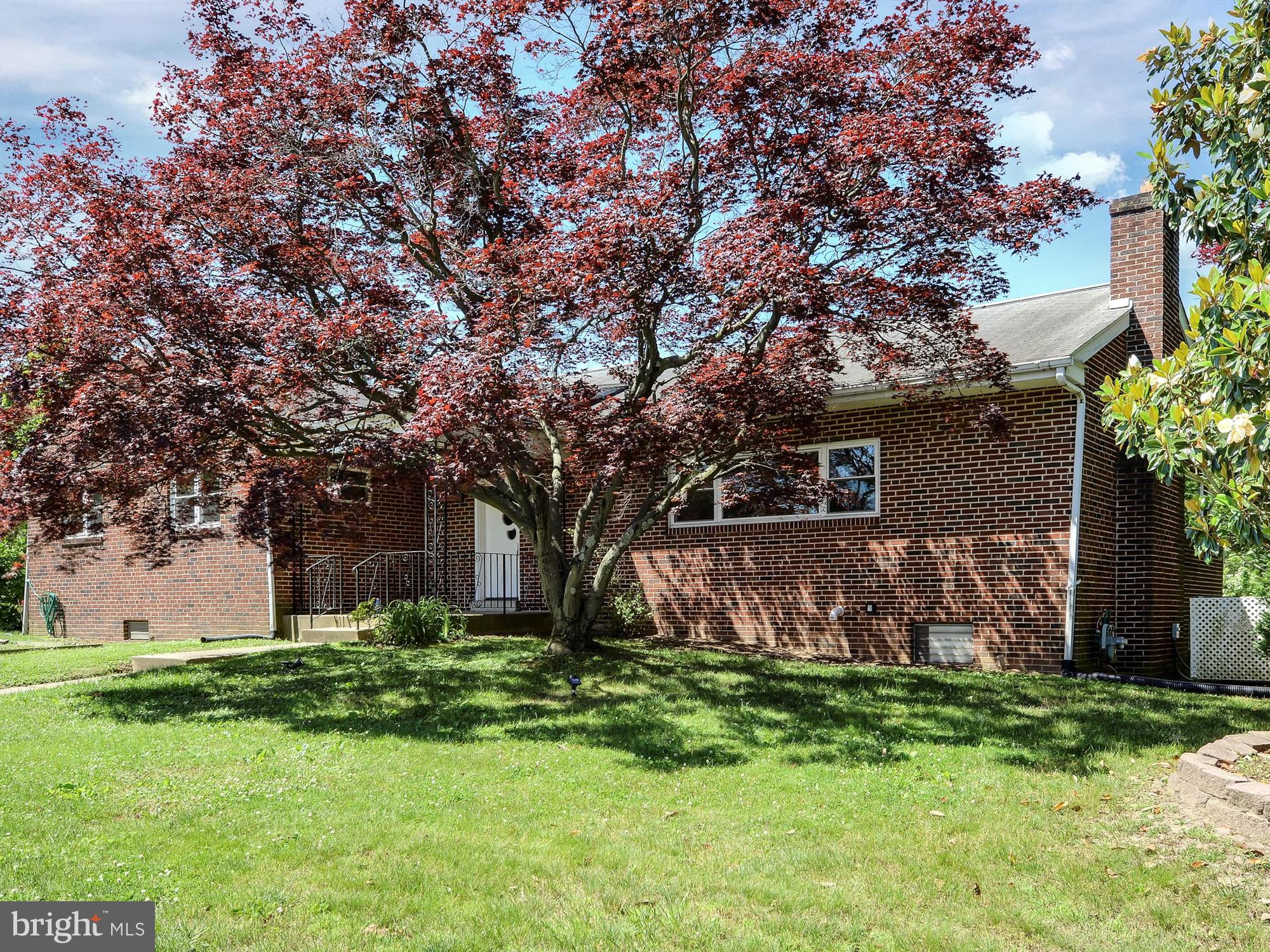 605 Fairview Road Swarthmore, PA 19081 - Photo 2 of 28 Beautiful trees!