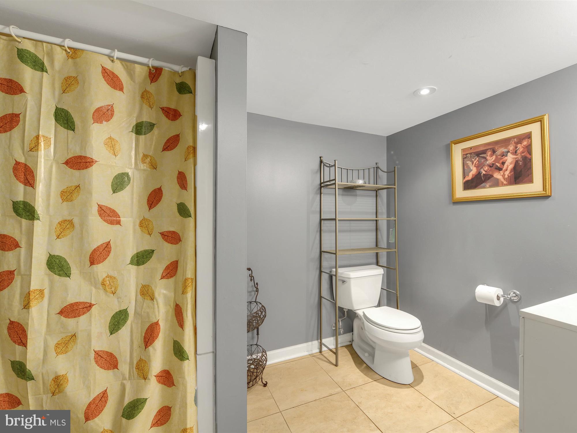 605 Fairview Road Swarthmore, PA 19081 - Photo 24 of 28 Lower Level FULL bath