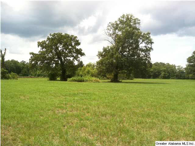 Browning Road, Unit 78 Odenville, AL 35120 - Photo 18 of 18