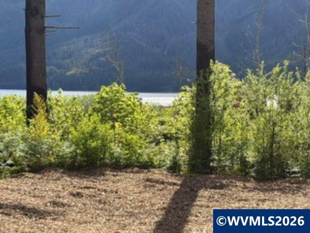 310 Detroit Road South Detroit, OR 97342 - Photo 12 of 17