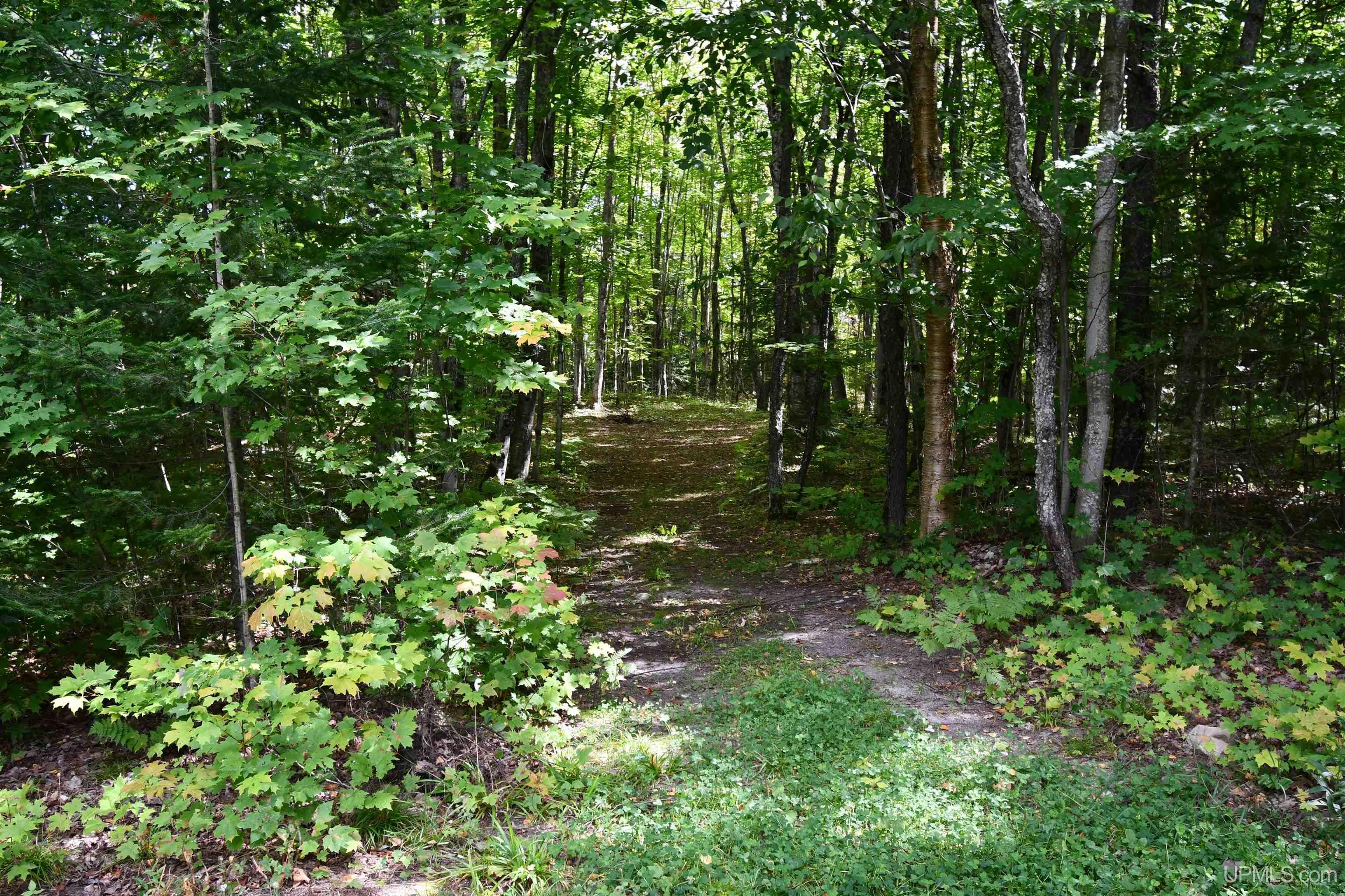 N8336 Sigan Road Deerton, MI 49822 - Photo 52 of 61 Gallery Image 52