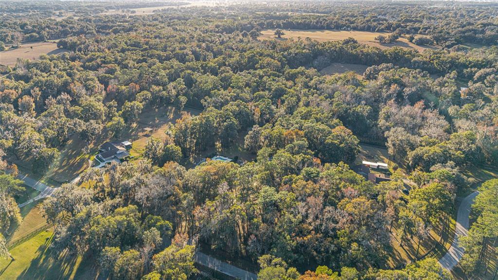 9080 Southwest 19th Avenue Road Ocala, FL 34476 - Photo 42 of 100