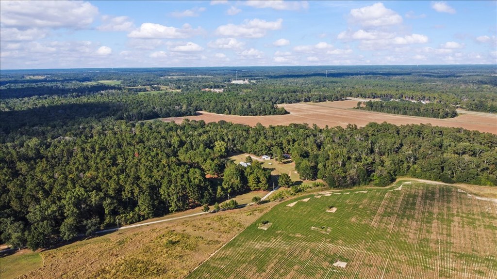 3195 Singletary Road Slocomb, AL 36375 - Photo 9 of 58