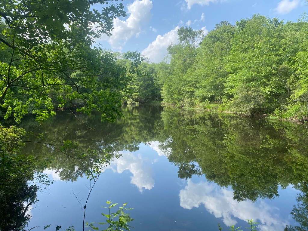 a view of a lake from a yard