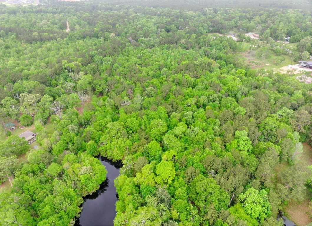 Tbd Drivers Road Splendora, TX 77372 - Photo 13 of 18 a view of a lush green forest with lots of trees
