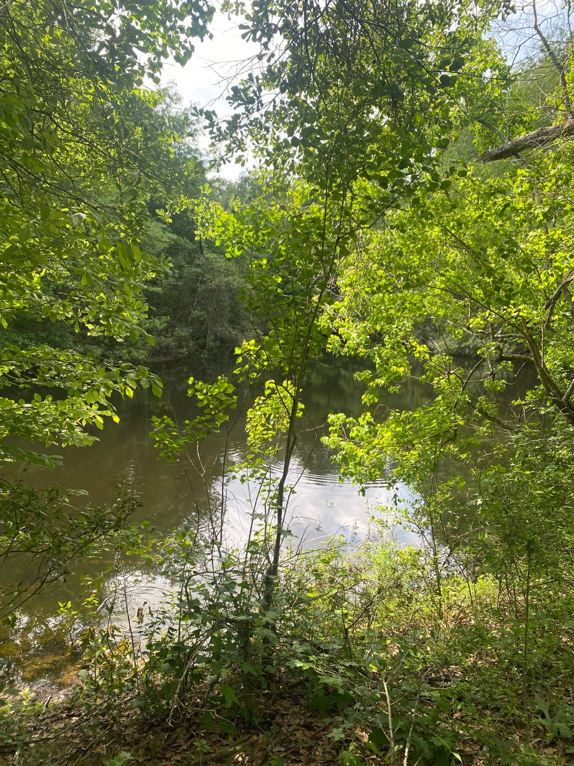 Tbd Drivers Road Splendora, TX 77372 - Photo 17 of 18