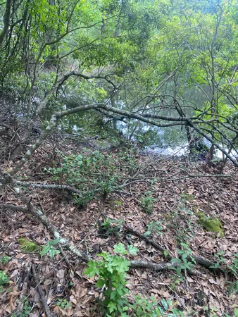 $324,990 | Tbd Drivers Road, Splendora, TX 77372