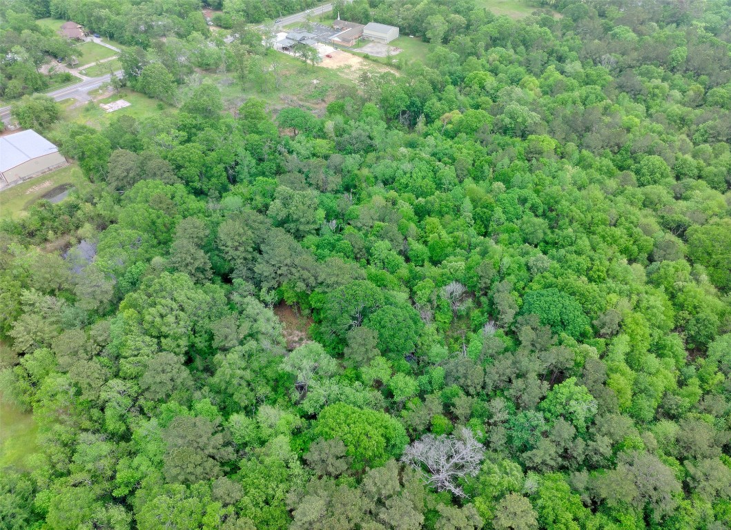 Tbd Drivers Road Splendora, TX 77372 - Photo 4 of 18 a view of a lush green forest