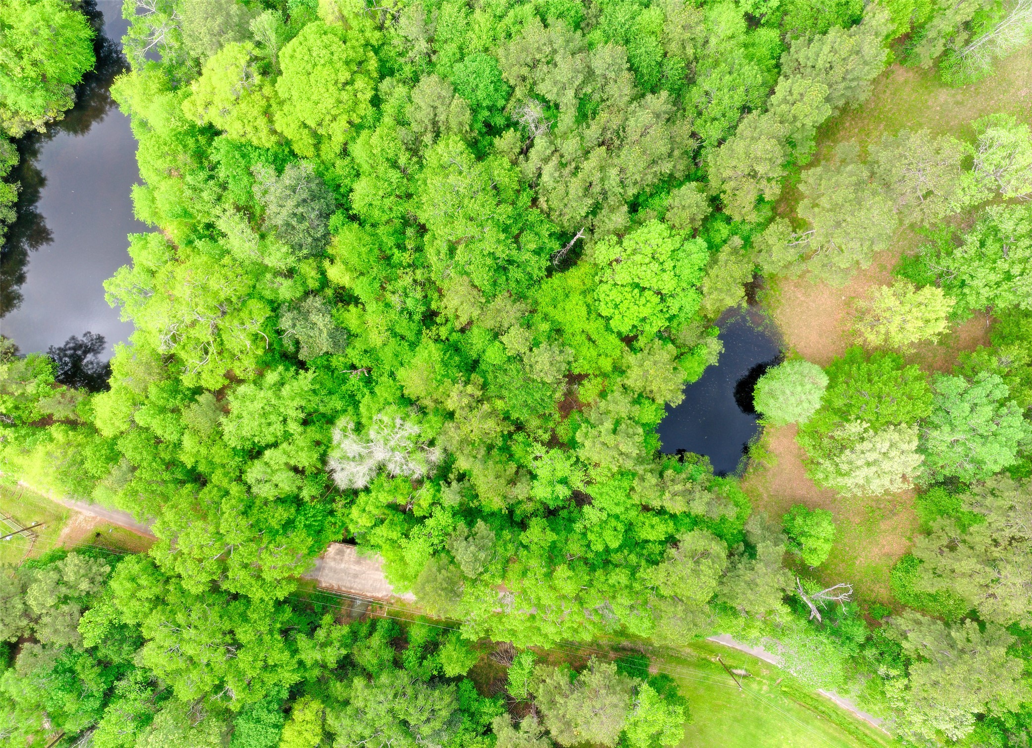 Tbd Drivers Road Splendora, TX 77372 - Photo 5 of 18