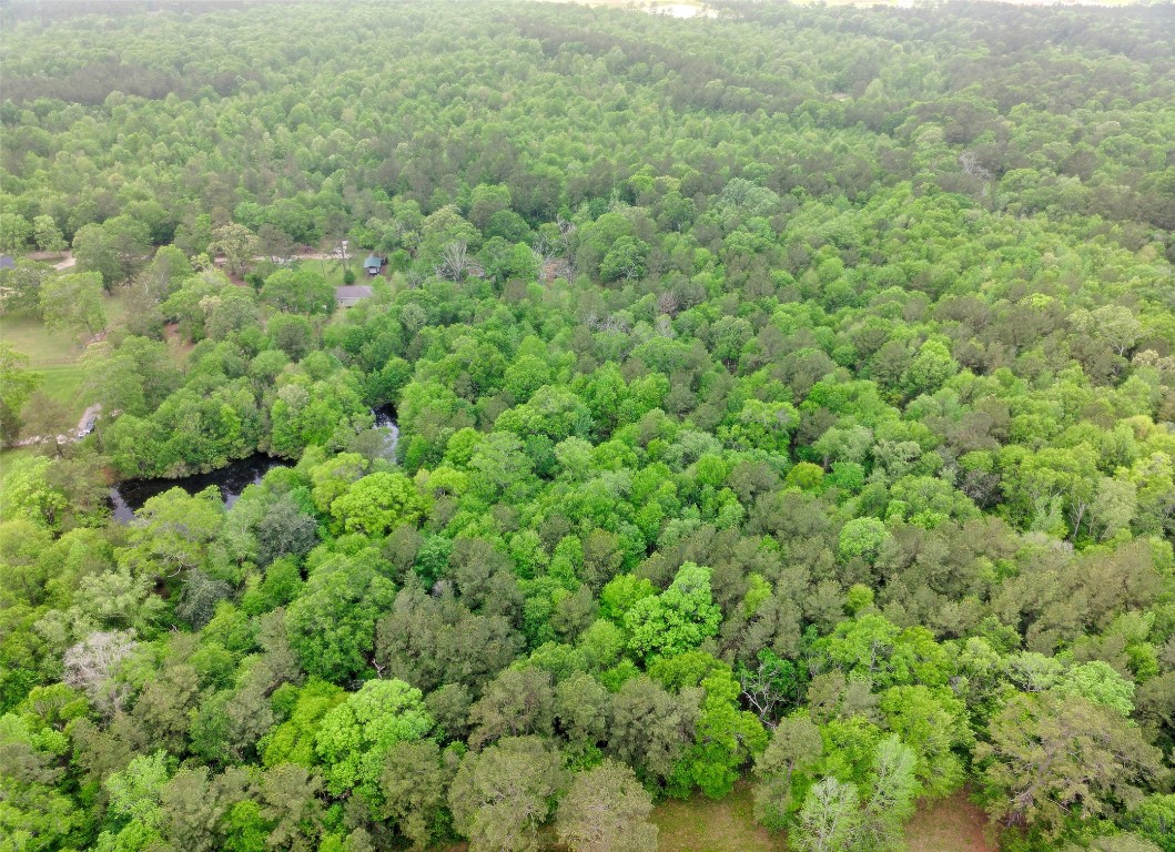 Tbd Drivers Road Splendora, TX 77372 - Photo 9 of 18 a view of a big yard with plants and large trees