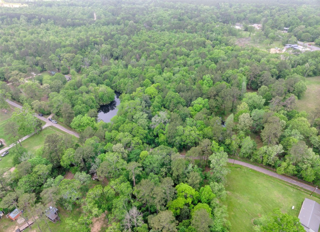 Tbd Drivers Road Splendora, TX 77372 - Photo 10 of 18 a view of a forest with a street
