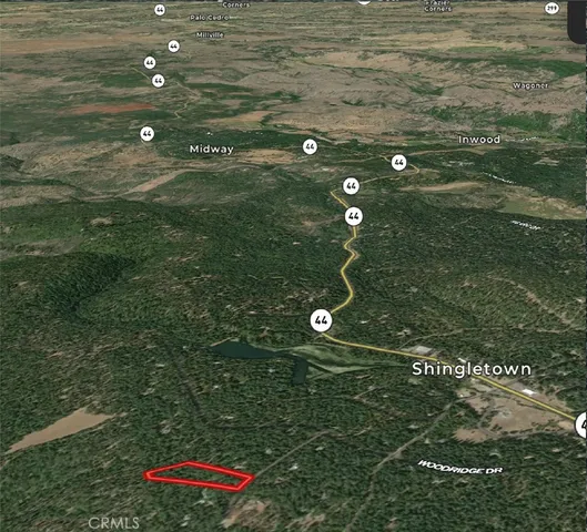 a view of a tree with a tree