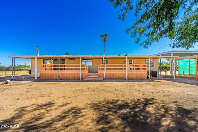 a street view with large trees