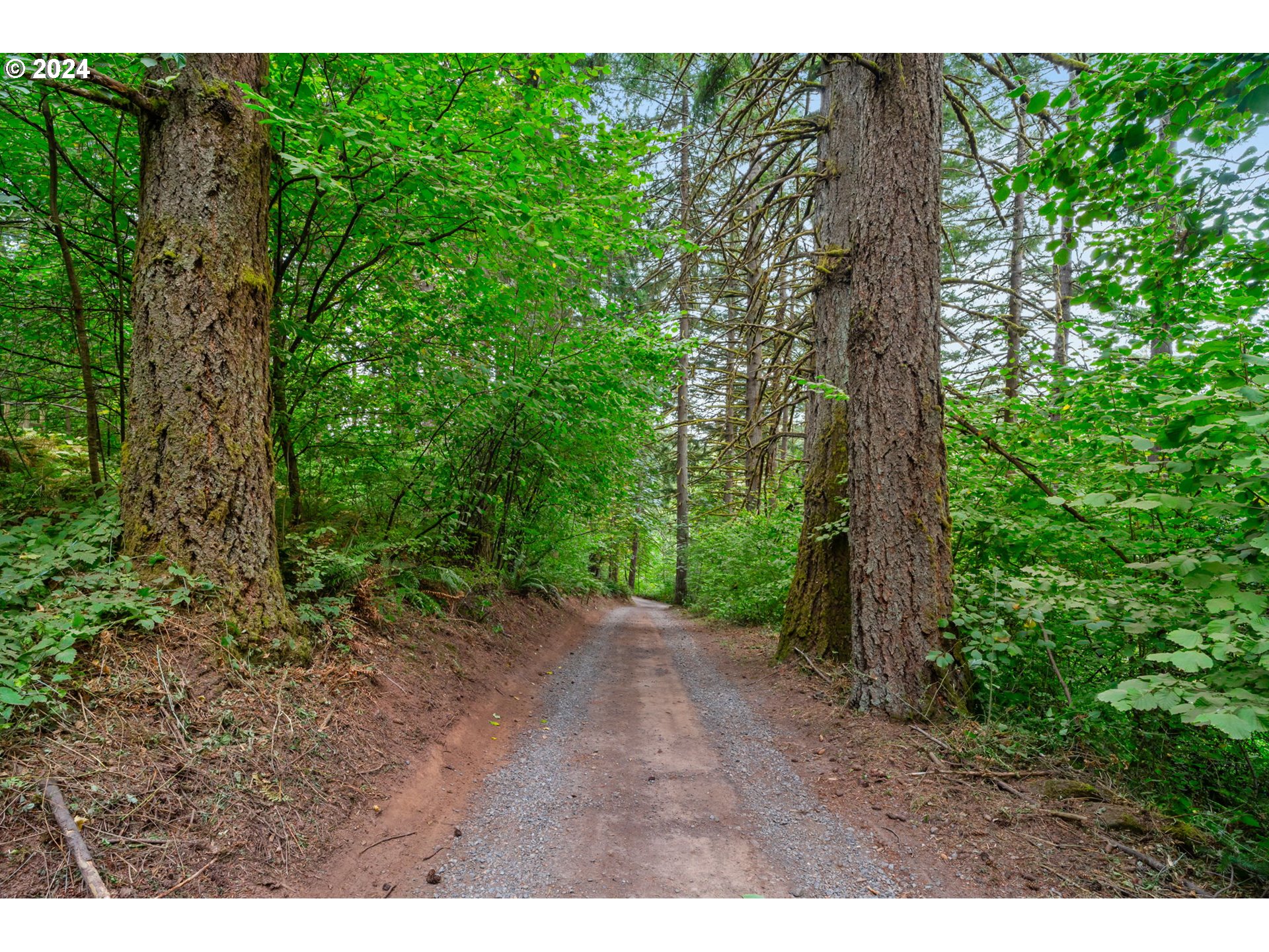 24271 South Newkirchner Road Oregon City, OR 97045 - Photo 3 of 41 a view of a forest