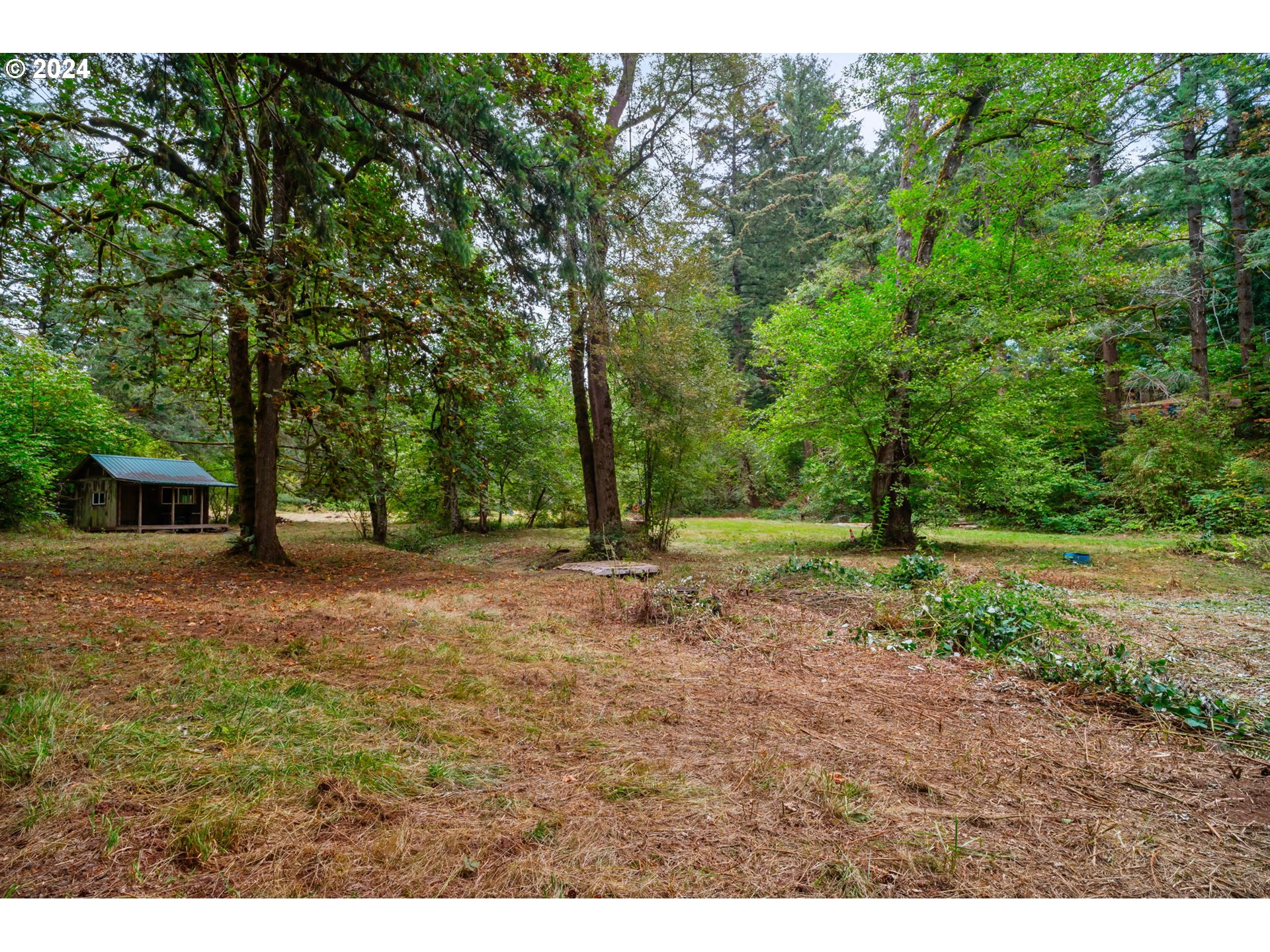 24271 South Newkirchner Road Oregon City, OR 97045 - Photo 33 of 41 a view of a yard with a tree