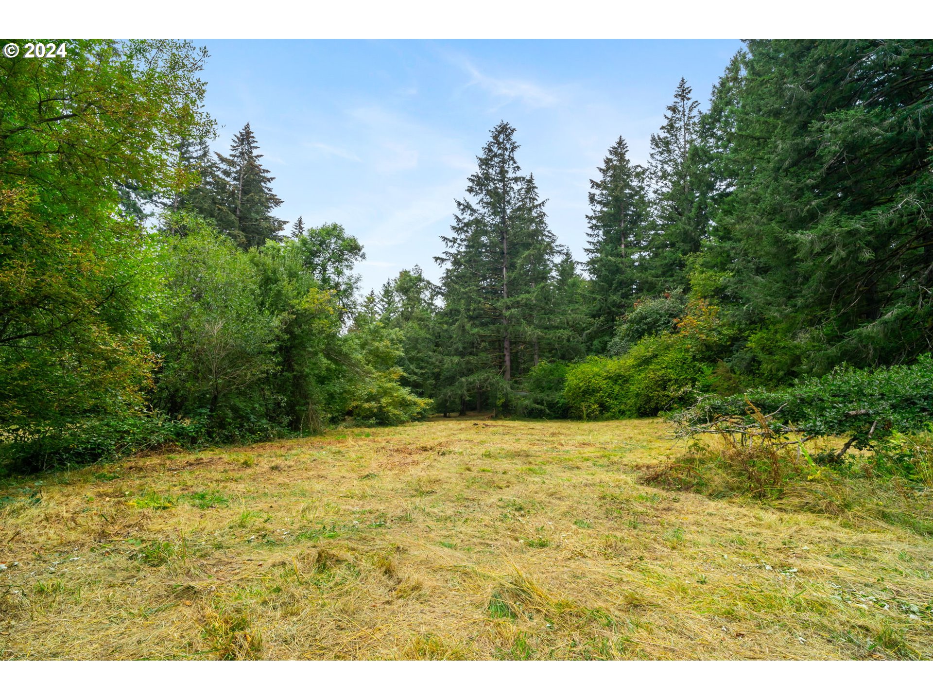 24271 South Newkirchner Road Oregon City, OR 97045 - Photo 34 of 41 a view of a yard with a tree