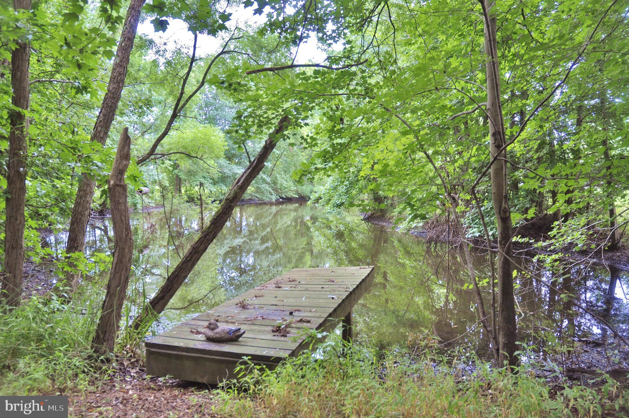 54 Washington Way Tabernacle, NJ 08088 - Photo 32 of 42 Pond with Fishing Dock