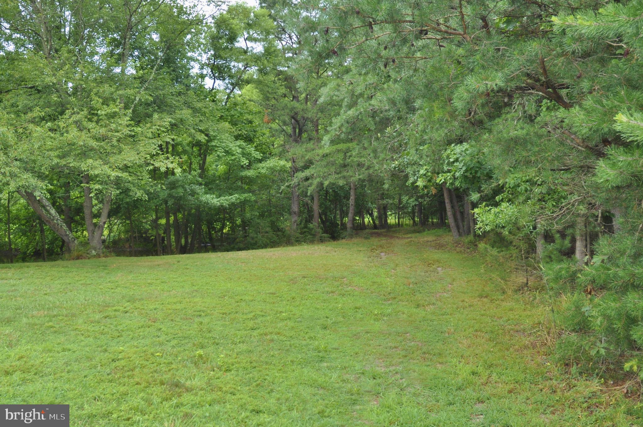 54 Washington Way Tabernacle, NJ 08088 - Photo 34 of 42 Trail by the pond