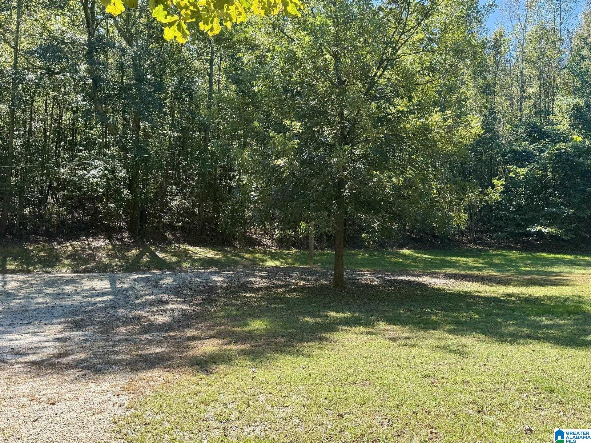 2371 Mt Moriah Road Delta, AL 36258 - Photo 7 of 28 Gallery Image 7
