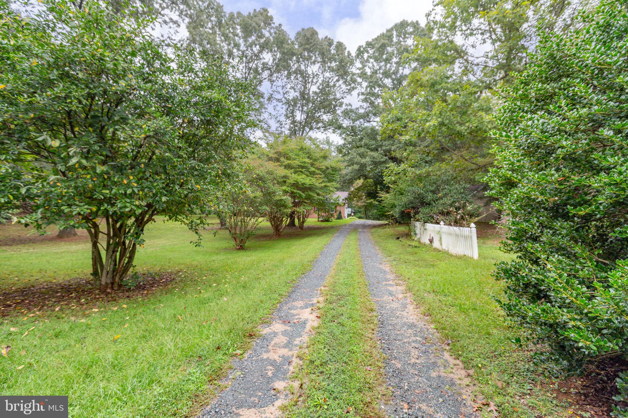 6628 Courthouse Road Spotsylvania, VA 22551 - Photo 45 of 45 a view of a pathway with a yard