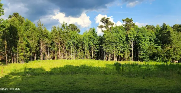 $59,900 | Lot 1 Tracy Drive, Burgaw, NC 28425