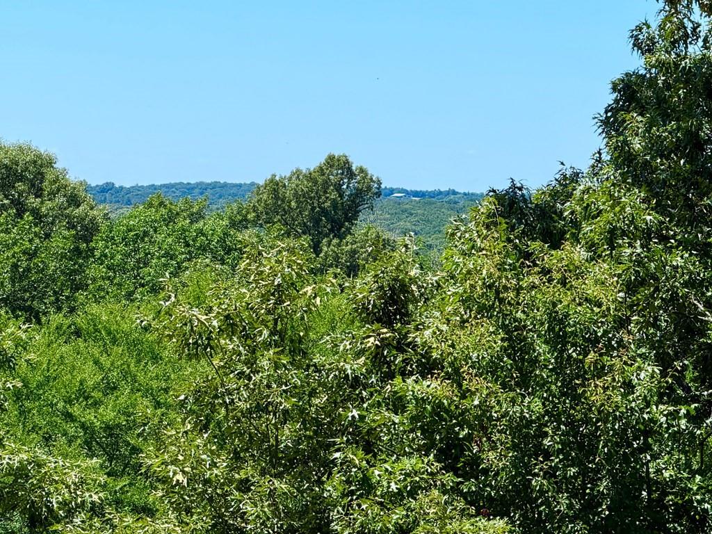 261 High Point Court Athens, TX 75752 - Photo 3 of 6 Gallery Image 3