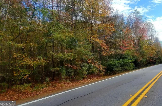 a view of a garden from a balcony