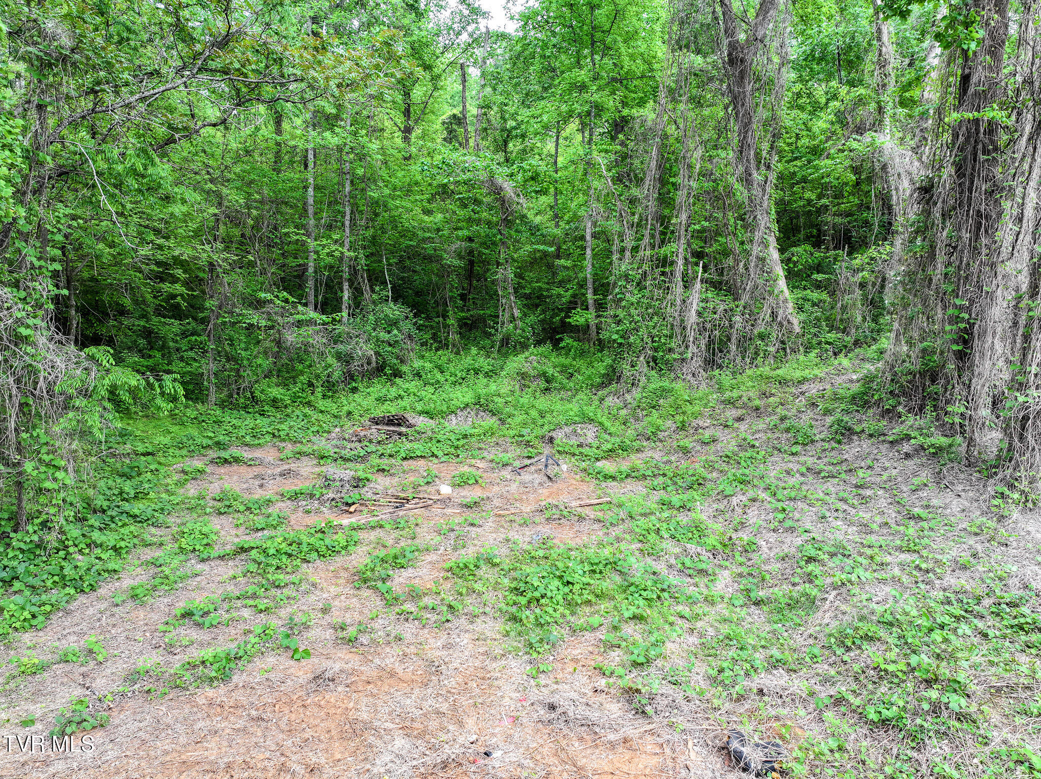 235 House Road Greeneville, TN 37743 - Photo 26 of 45 26