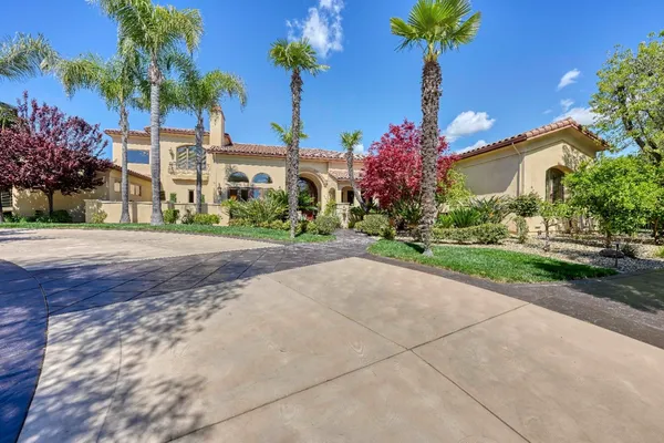 a potted plant sitting in front of a house