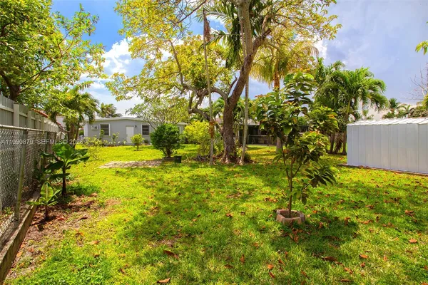 a view of a yard with a tree