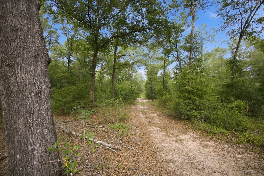 1138 Power Dam Road Newton, AL 36352 - Photo 77 of 111 Gallery Image 77