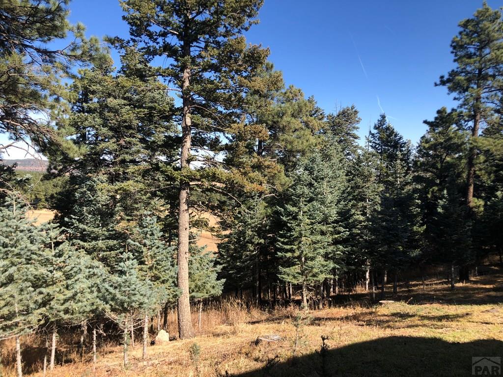 8511 Cuerna Verde Road Rye, CO 81069 - Photo 11 of 43