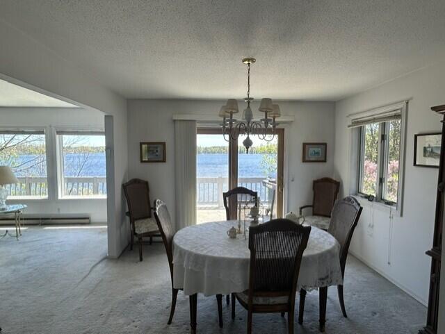 4323 Broadview Lane Lupton, MI 48635 - Photo 11 of 43 Dining Room
