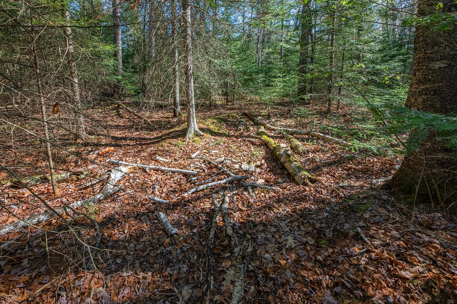 Off Marquard Road Eagle River, WI 54521 - Photo 15 of 20 Gallery Image 15