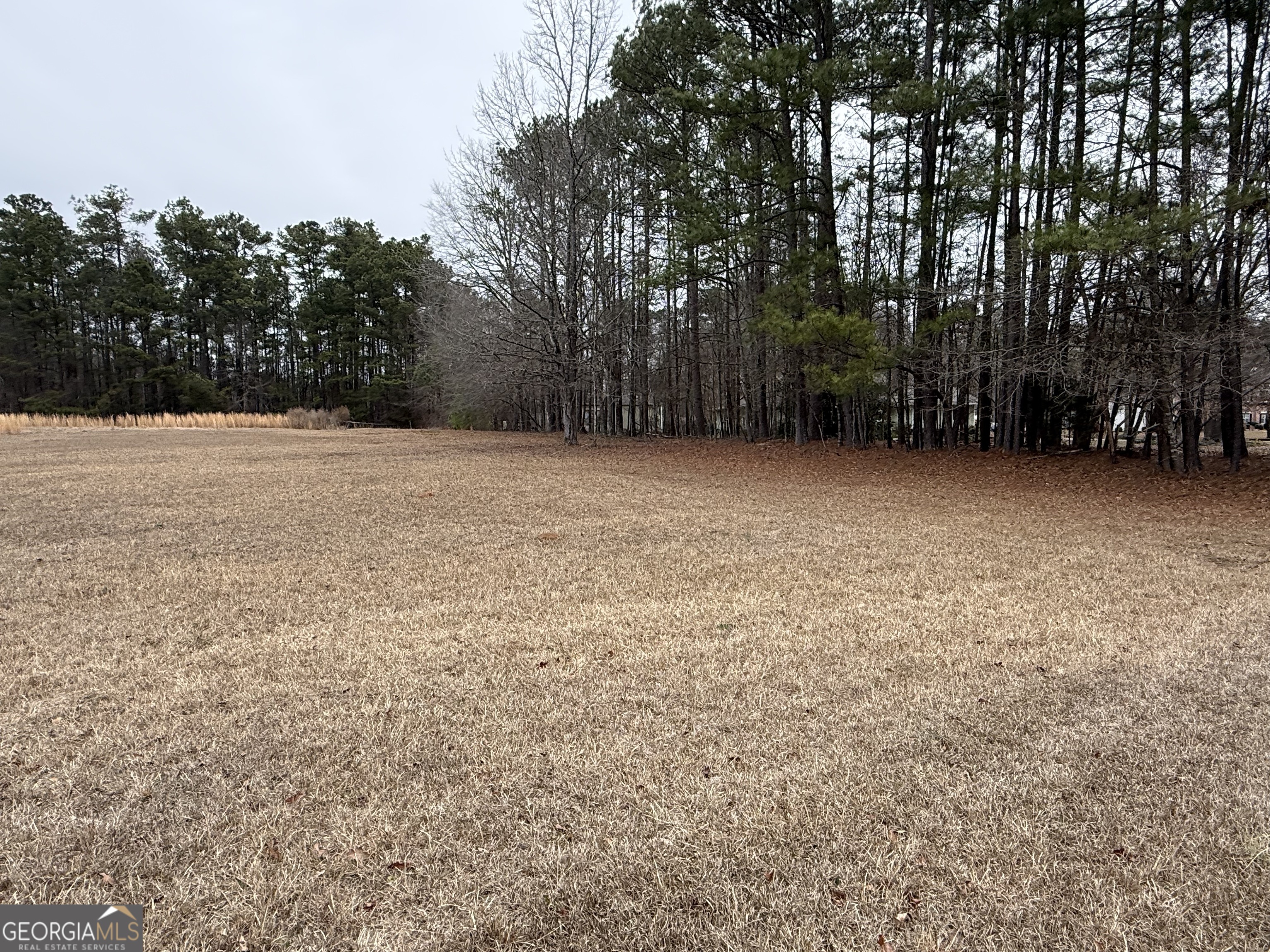 225 Griffin Mountain Road Northeast Conyers, GA 30013 - Photo 5 of 6