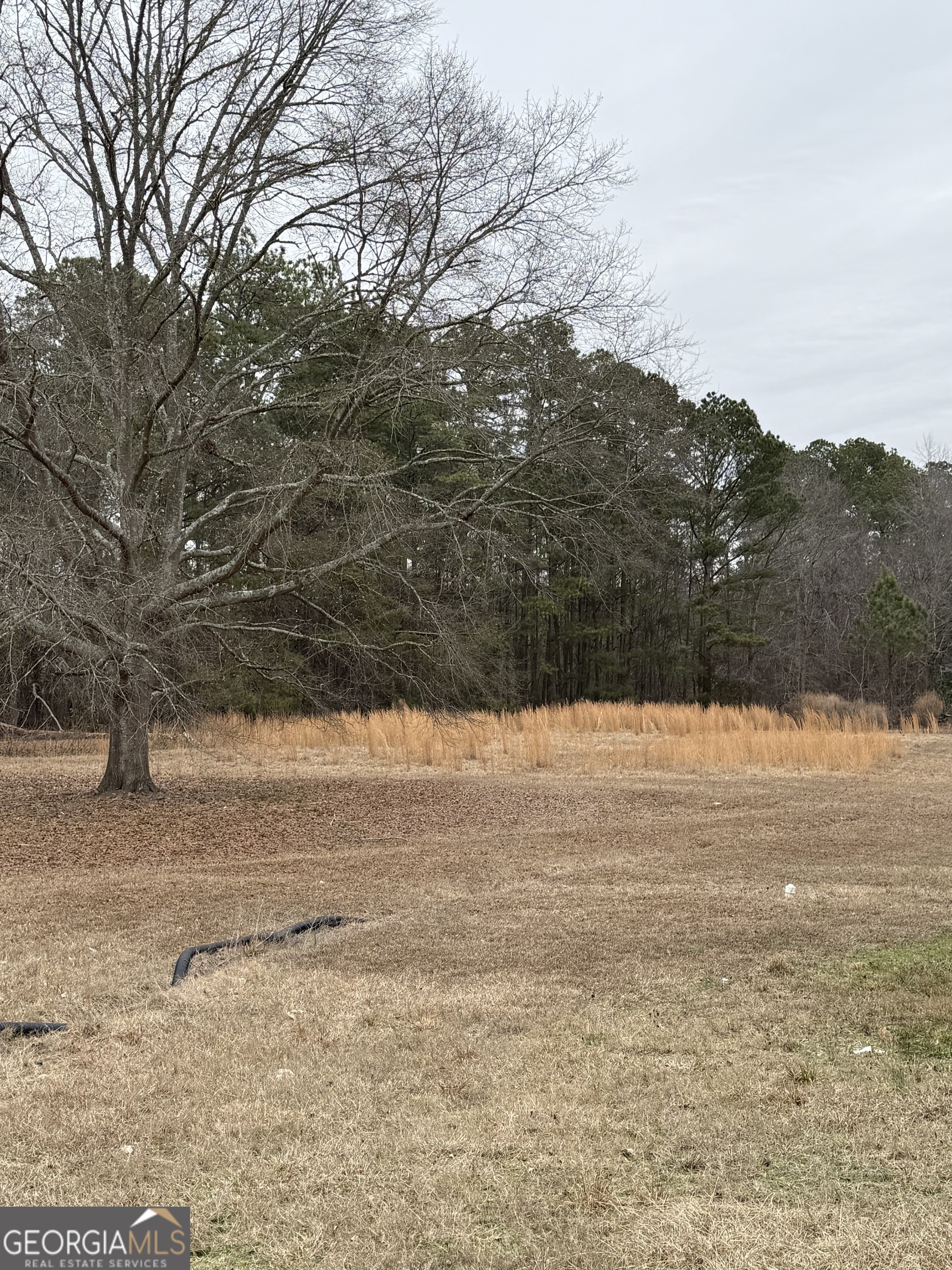 225 Griffin Mountain Road Northeast Conyers, GA 30013 - Photo 6 of 6