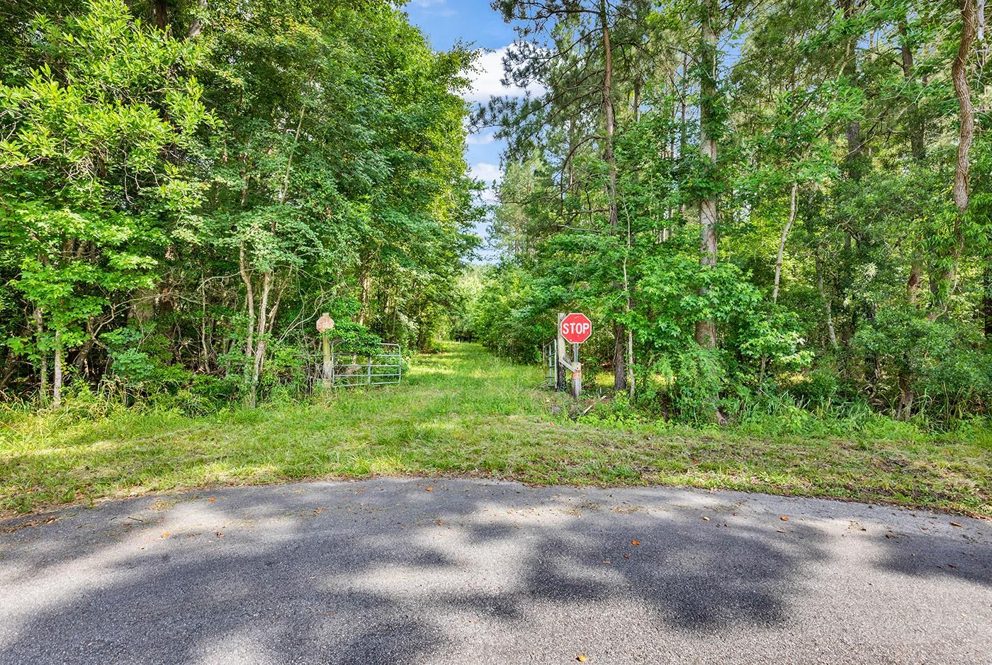 Tbd Sarvis Farm Road Longs, SC 29568 - Photo 1 of 3 Gallery Image 1