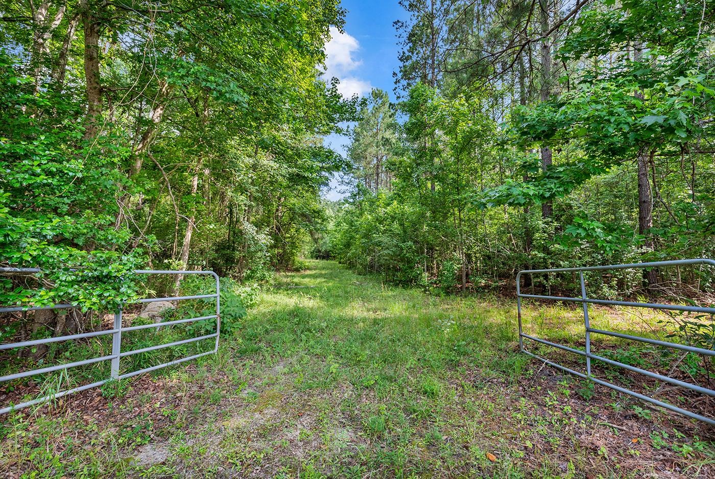 Tbd Sarvis Farm Road Longs, SC 29568 - Photo 2 of 3 Gallery Image 2