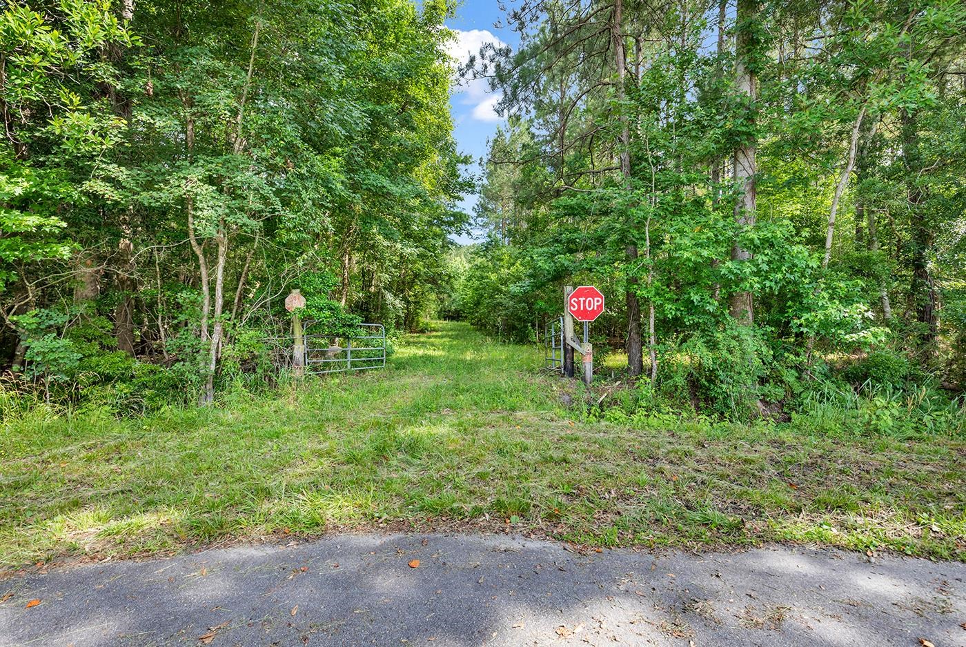 Tbd Sarvis Farm Road Longs, SC 29568 - Photo 3 of 3 Gallery Image 3