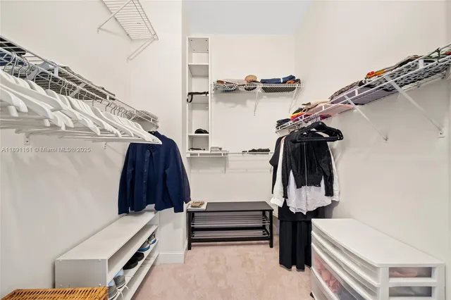 a view of walk in closet with clothes and shoes