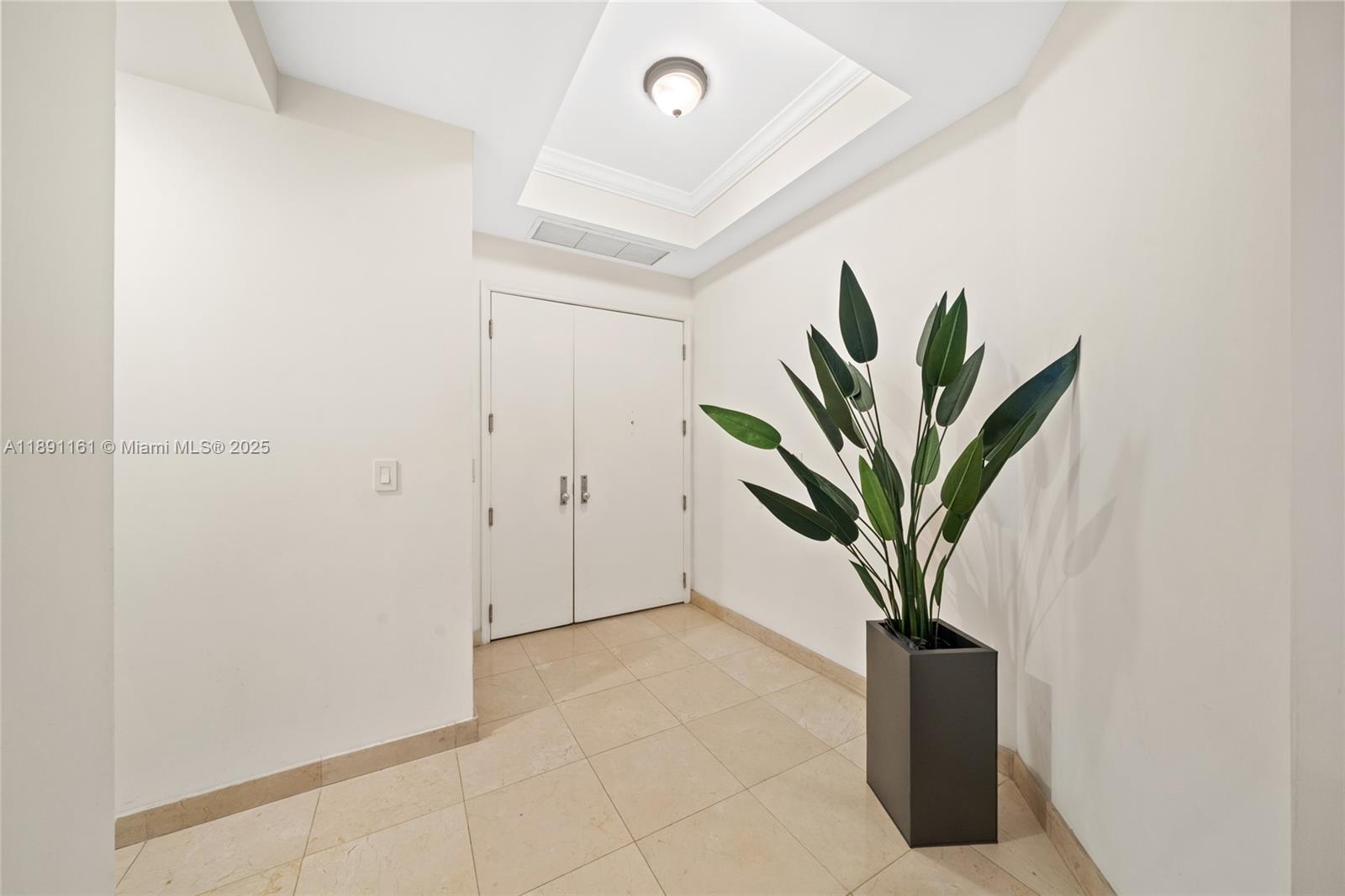 848 Brickell Key Drive, Unit 201 Miami, FL 33131 - Photo 29 of 31 a potted plant in a empty room